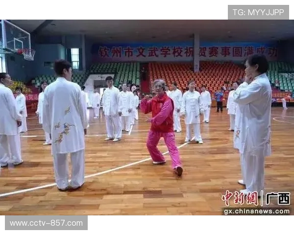 广西钦州太极拳教学现场,老年学员动作一丝不苟 广西钦州太极拳教学现场,老年学员动作一丝不苟