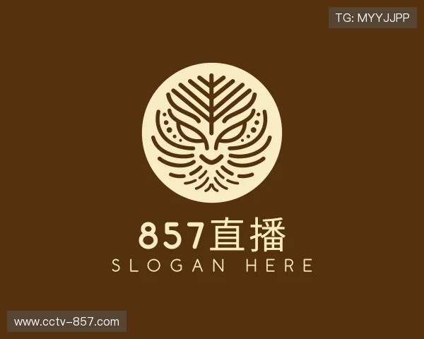 了解足球比赛直播